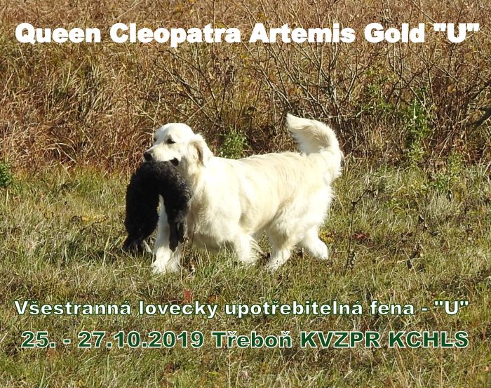 Queen Cleopatra Artemis Gold